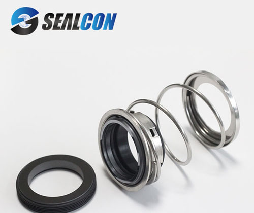 elastomer bellows seal
